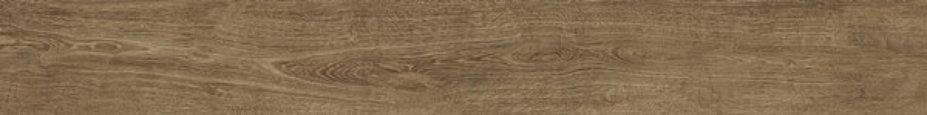 AMHV Arbor Cognac 30x240
