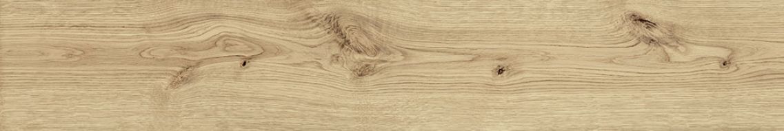 AO47 Exence Vanilla 120x20