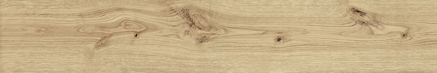 AO47 Exence Vanilla 120x20