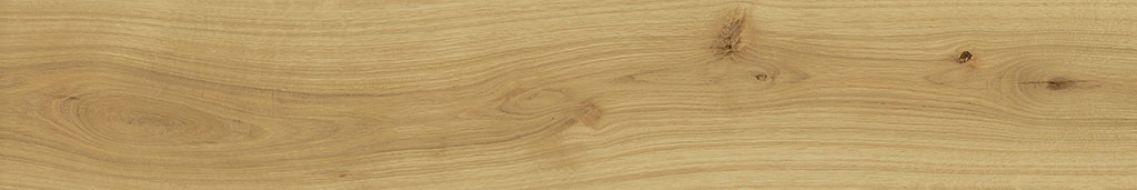 AO48 Exence Almond 120x20