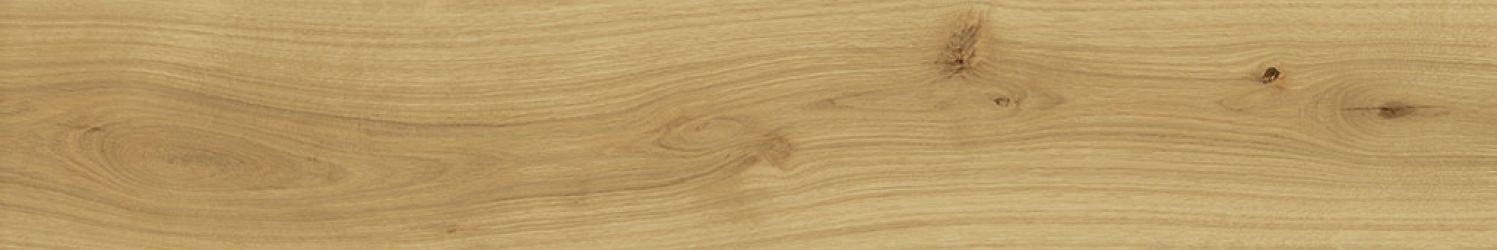 AO48 Exence Almond 120x20