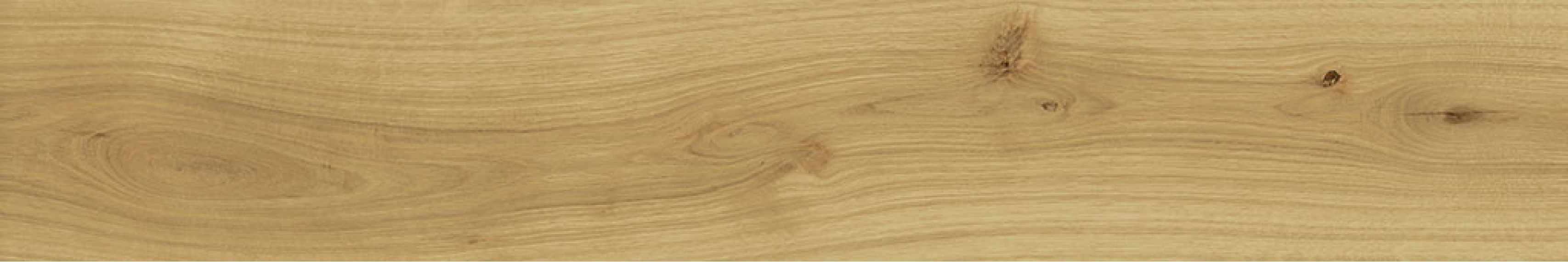 AO48 Exence Almond 120x20