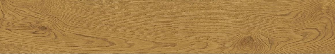 AO49 Exence Amber 120x20