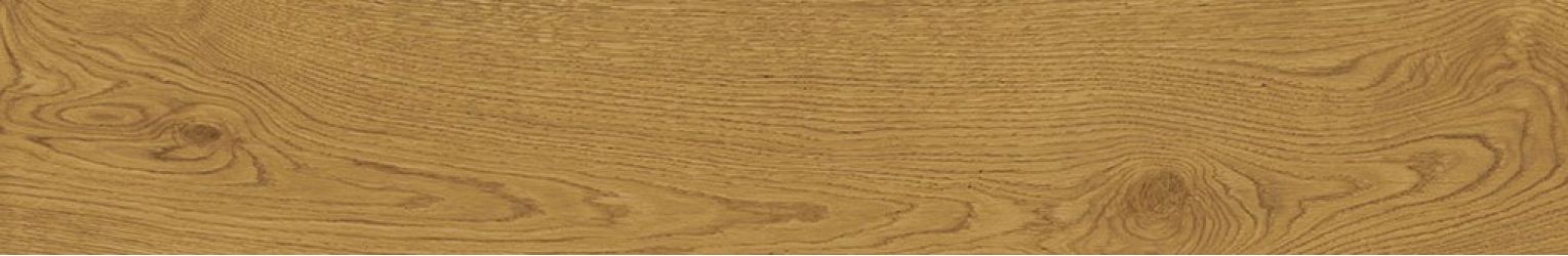 AO49 Exence Amber 120x20