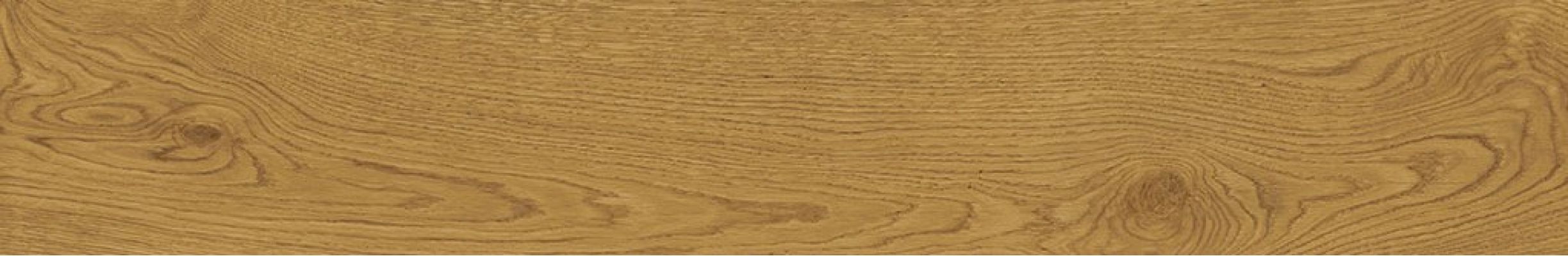 AO49 Exence Amber 120x20