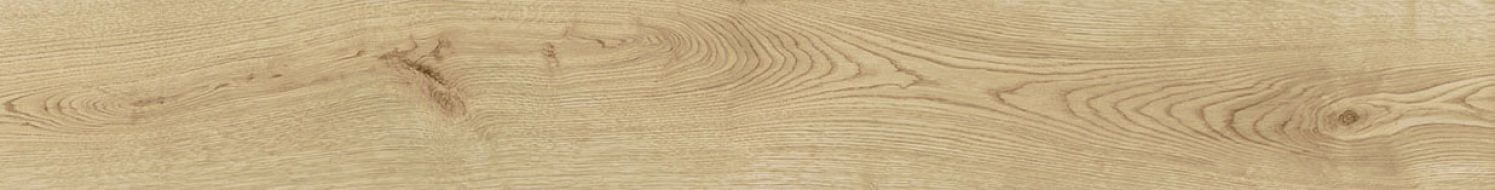 AOUH Exence Vanilla 18,5x150