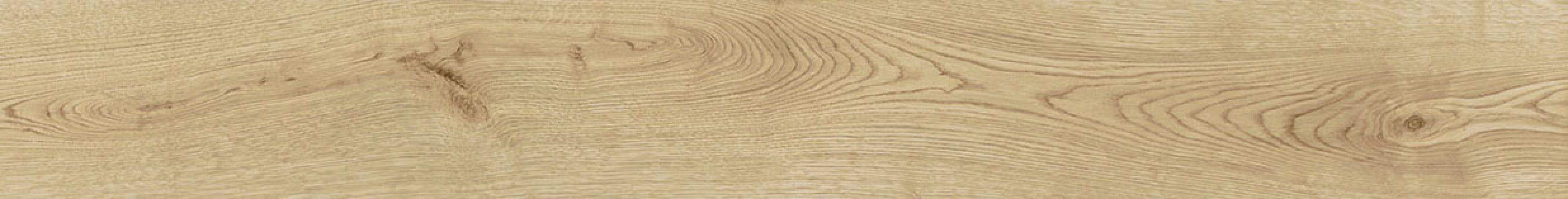 AOUH Exence Vanilla 18,5x150