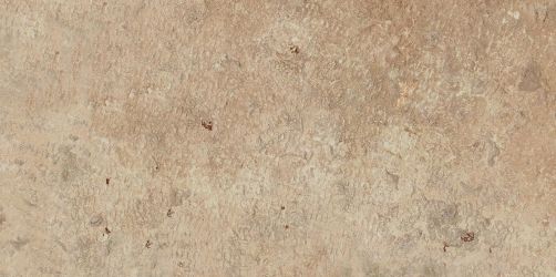 APR2 Aix Beige 20mm 22.5x45.4