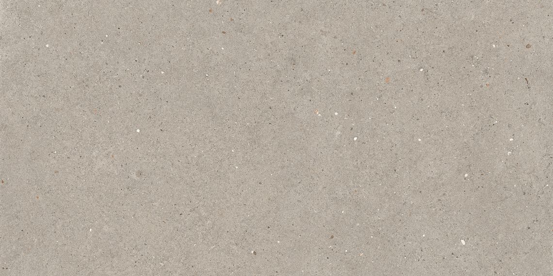 ARGENT6 12 60x120