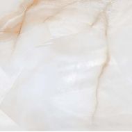 ARISTON Onyx Sugar 60x60