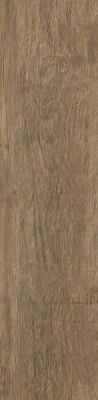 AS3A (AE7M) Axi Brown Chestnut 22,5x90