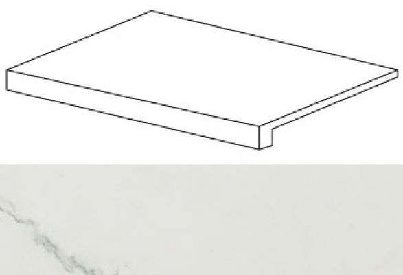 ASMN Marvel Calacatta Scalino 33x60