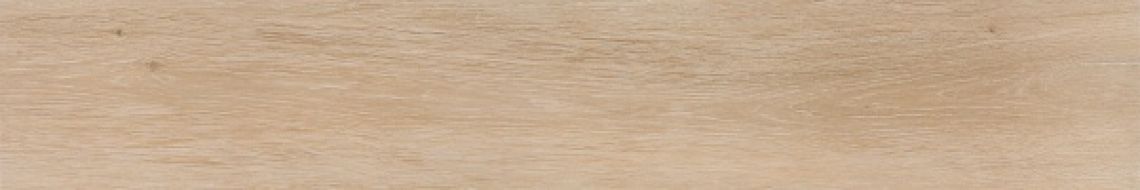 AT.Viggo Arce 20x120
