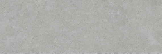 ATRIO GREY 40х120