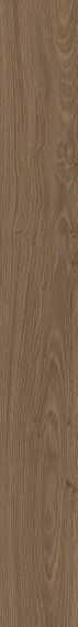 AV03 Alavesa Moka Неполированный Рект. 19,4x160x10
