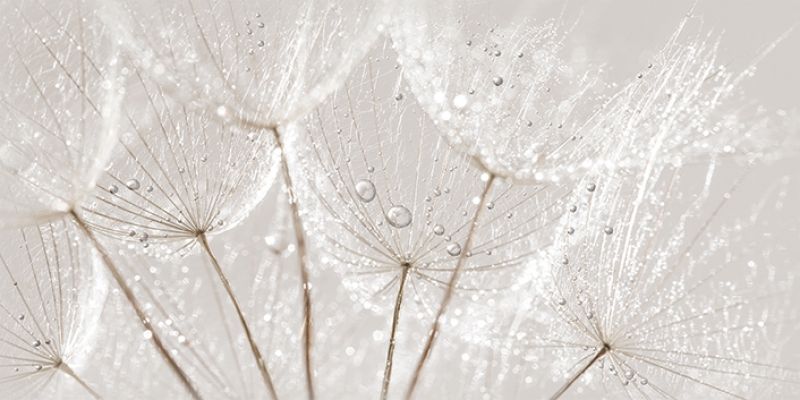 AV2L091DT Avangarde вставка серый 29,8x59,8