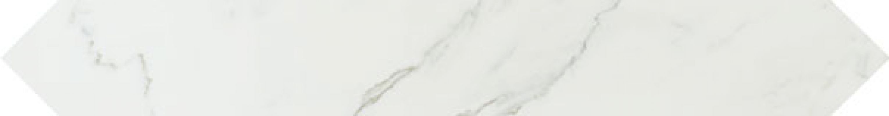 AVXL Marvel Calacatta Esagono Lappato 11x86