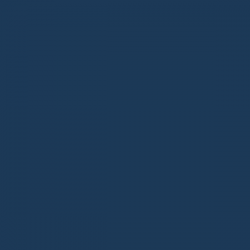 Active blue R/С 244x244x8