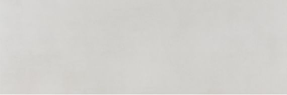 Ageri Blanco Rect. 33.3x100