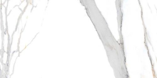 Aira Polished White 60x120