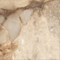 Ajmer Gold 60x60