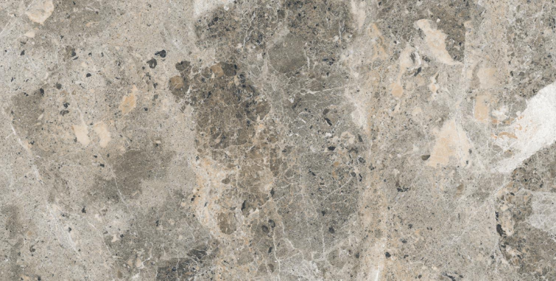 Alaska Grey Pol. 60x120