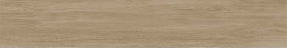 Alessandria Arce 19.5x120