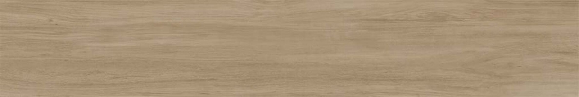 Alessandria Arce 19.5x120