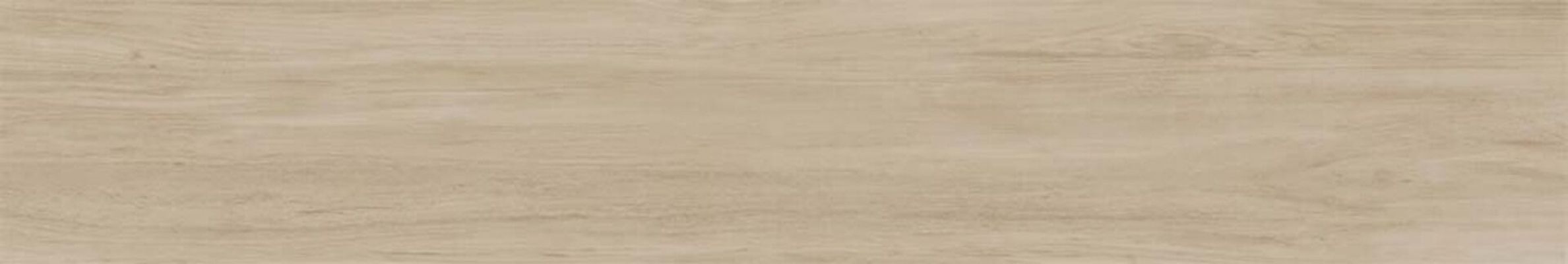 Alessandria Bone 19.5x120