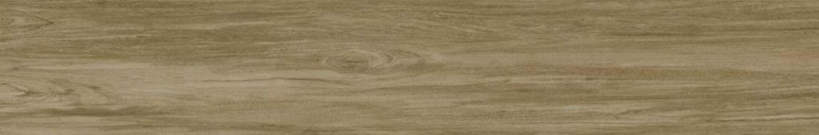 Alessandria Camel 19.5x120