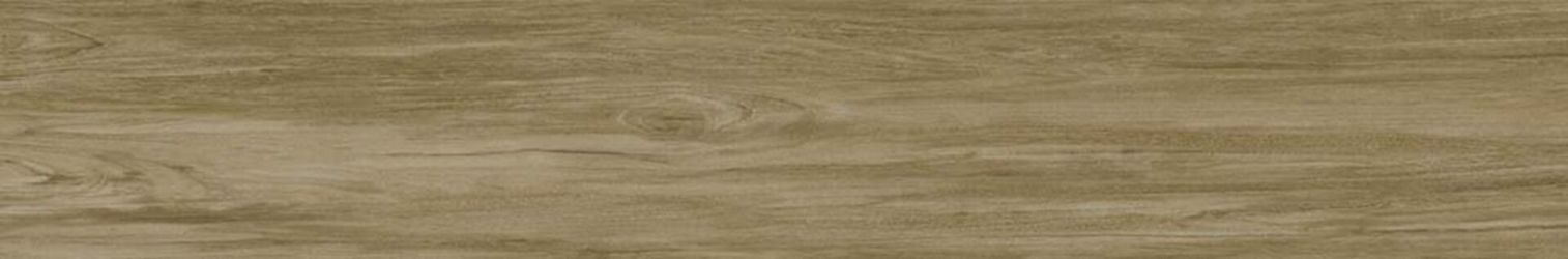 Alessandria Camel 19.5x120