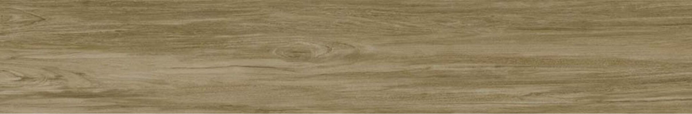 Alessandria Camel 19.5x120