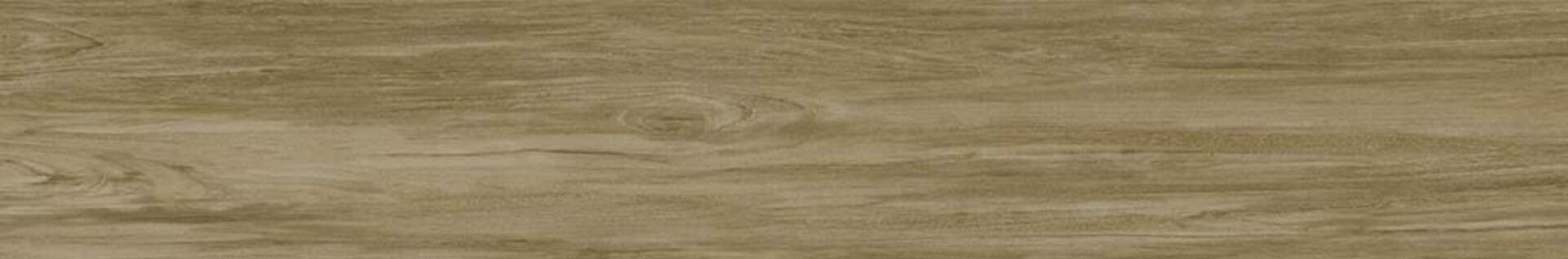 Alessandria Camel 19.5x120