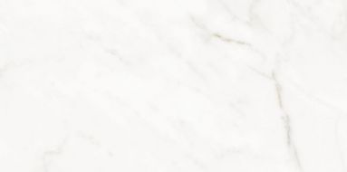 Alexandra White Polished 60x120