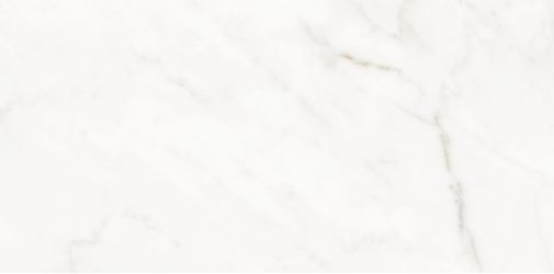 Alexandra White Polished 60x120