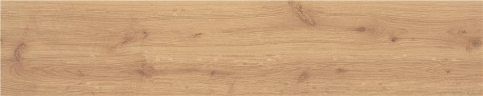 Algord Beige Rect. 119.5x22.7