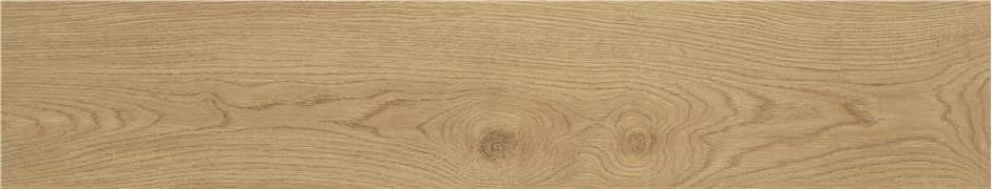 Algord Natural Rect. 119.5x22.7