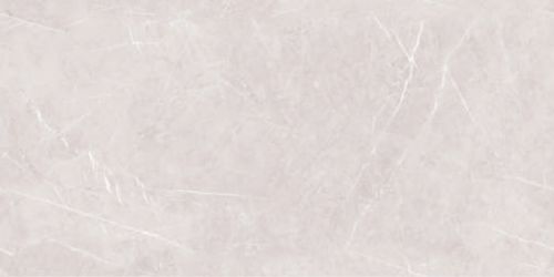 Alpine Grey Lucent 120х60