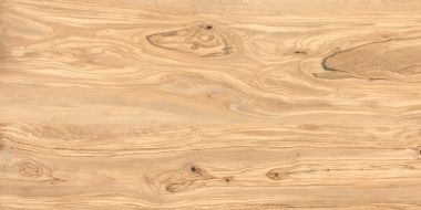Alpine Natural Wood Matt 60x120