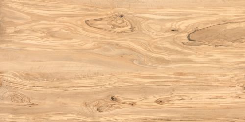 Alpine Natural Wood Matt 60x120