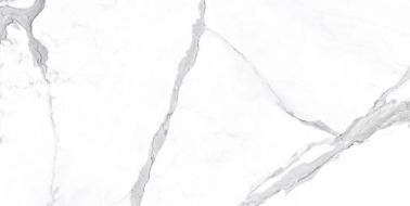 Alto Statuario Vienmatch L Polished 160x320