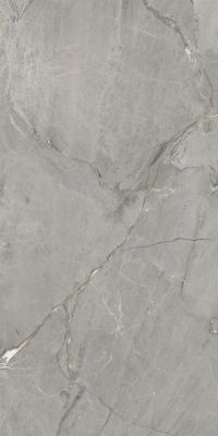 Amedio Grey Glossy 60x120