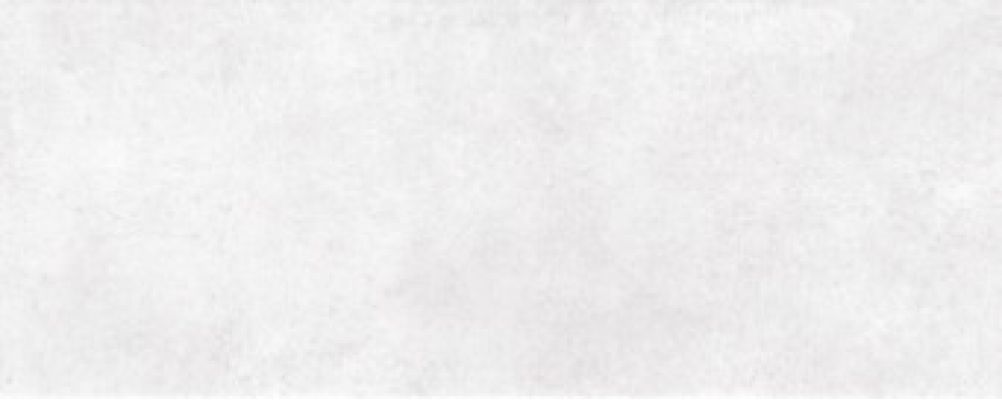 Amsterdam white 20х50