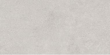 Andre серый 60х120