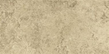 Anika Olive 30x60