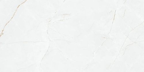 Anil White Nano Polished 59.7x119.8