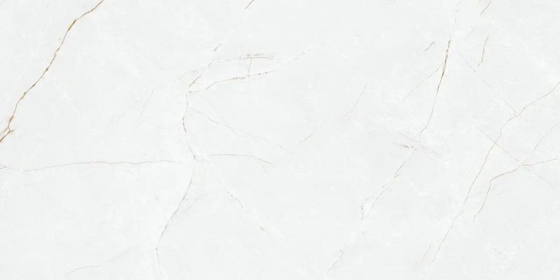 Anil White Nano Polished 59.7x119.8