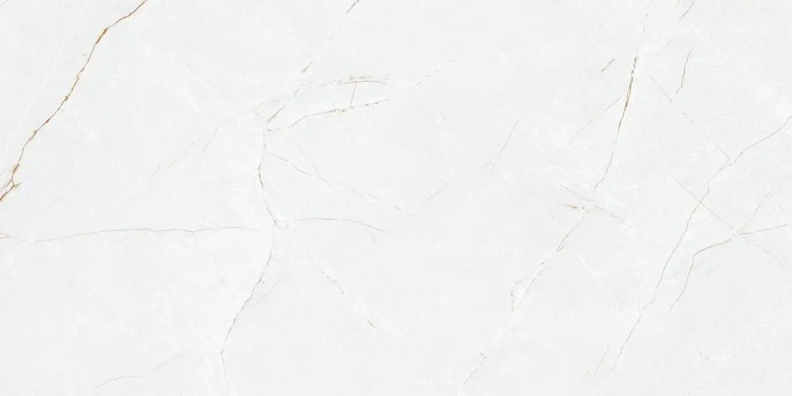 Anil White Nano Polished 59.7x119.8