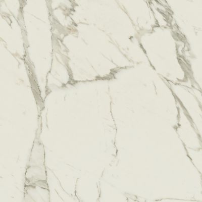 Anima Calacatta Oro Rett Lucidato 60*60*9,5