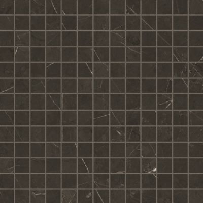 Anima Graphite Composizione F Lucidato 30*30